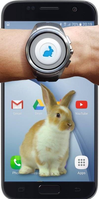 bunny in phone cute joke中文版