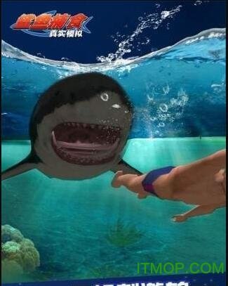 鲨鱼饿了