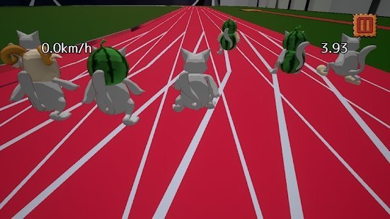 小猫短跑比赛